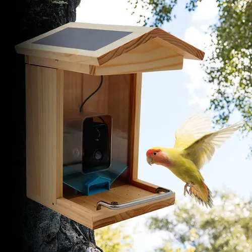 Smart WiFi Bird Feeder: Bird Feeder with HD Camera