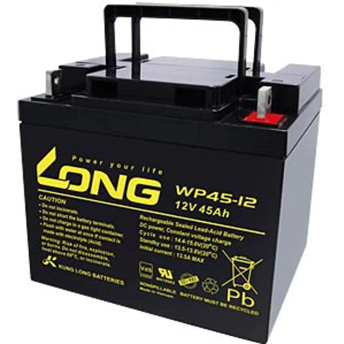 Kung Long WP45-12-M - Bateria de Chumbo (Pb) 12V 45Ah (terminais F4)