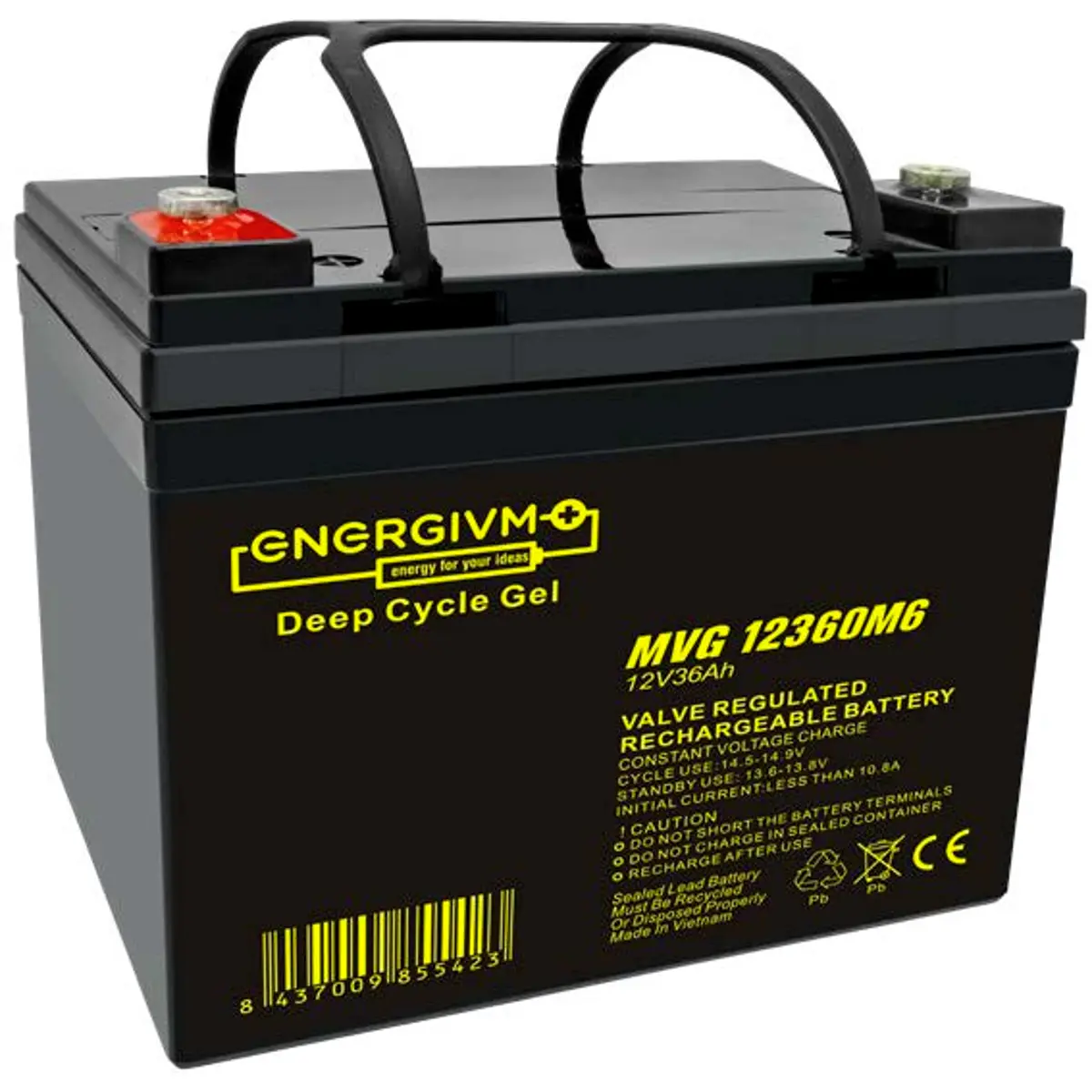 EnergiVM MVG12360M6 - Bateria de Chumbo (Pb) 12V 36Ah Deep Cycle GEL