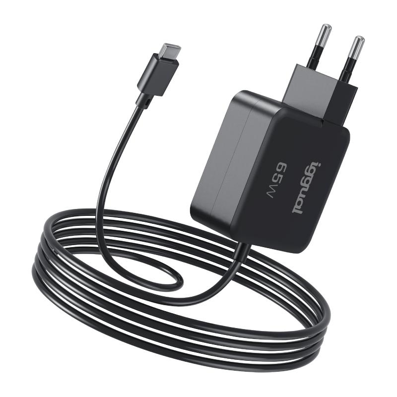 iggual Cargador portátil y móvil tipo C PD 65W